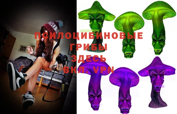 Альфа ПВП Михайлов