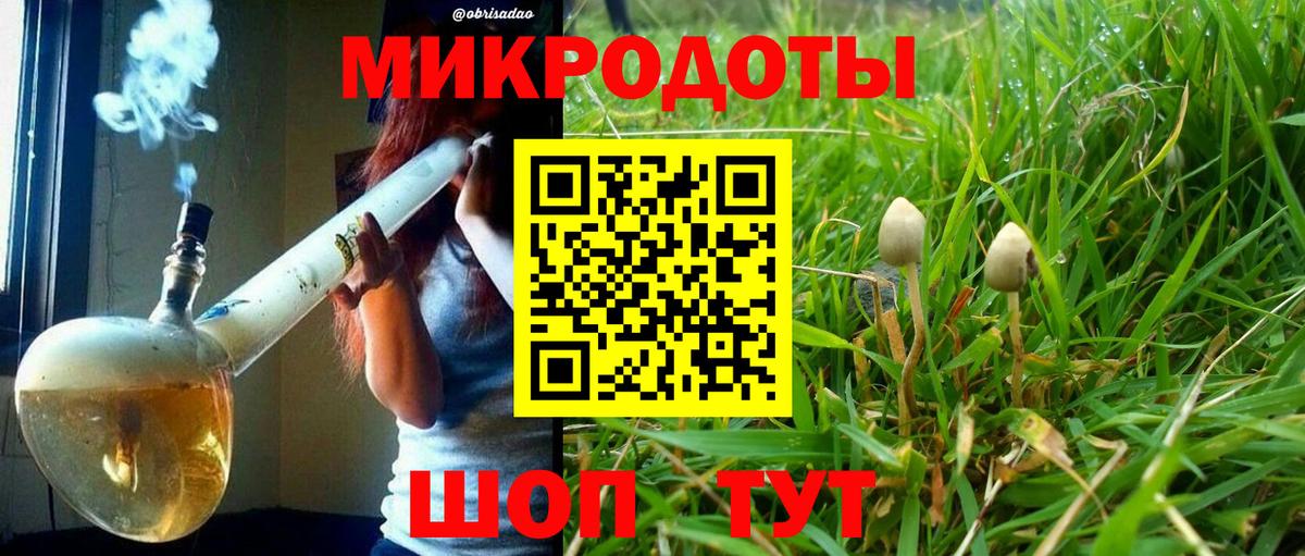 Псилоцибиновые грибы MAGIC MUSHROOMS  Тверь  Галлюциногенные грибы мицелий 