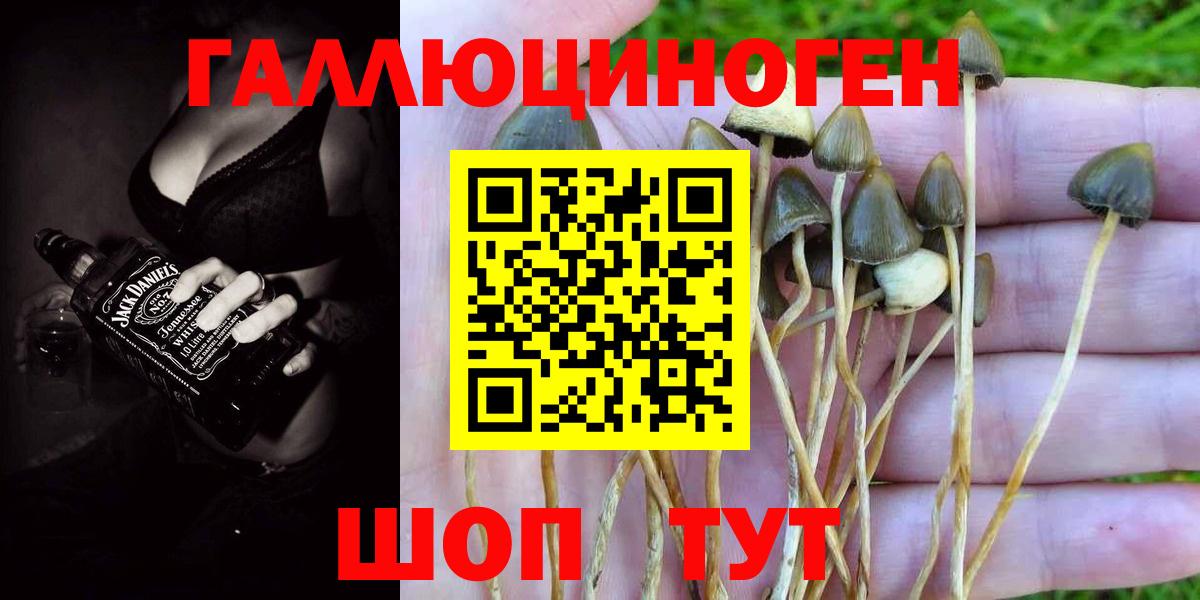 Псилоцибиновые грибы ЛСД Тверь