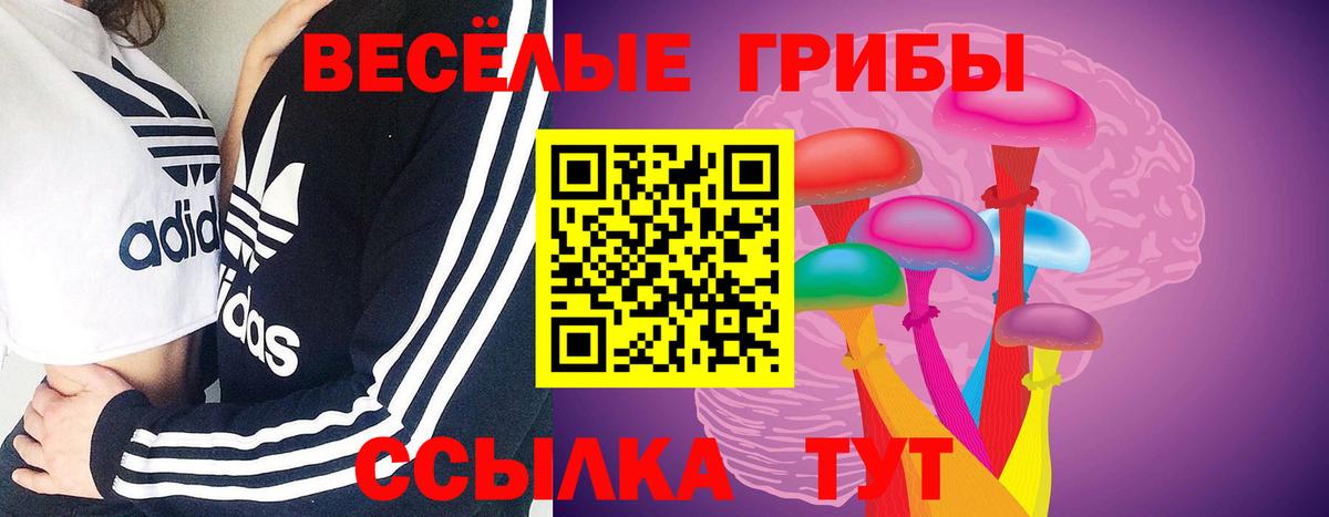 Галлюциногенные грибы мицелий  Вход с VPN  Псилоцибиновые грибы Cubensis  Тверь 